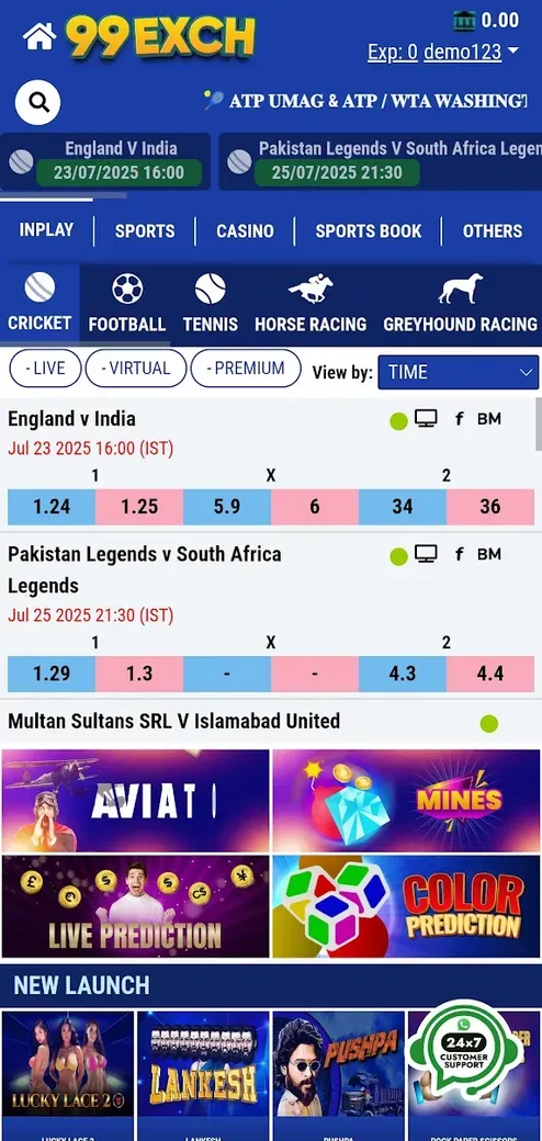 Playing on Mobile: 99exch App Experience